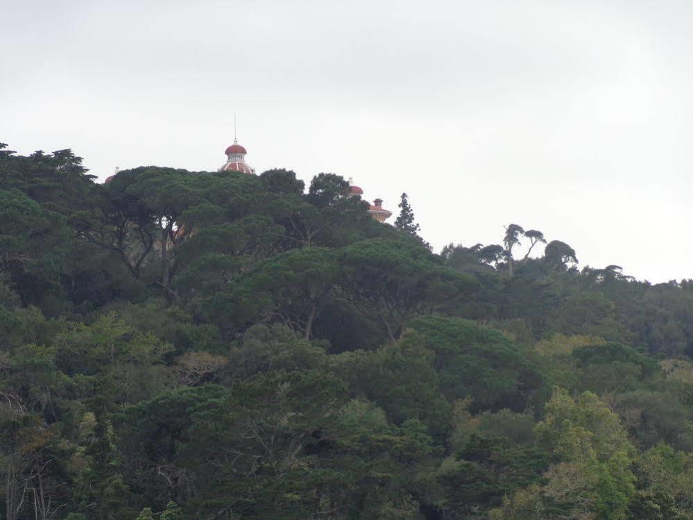 Отель Quinta De Sao Thiago Синтра Экстерьер фото